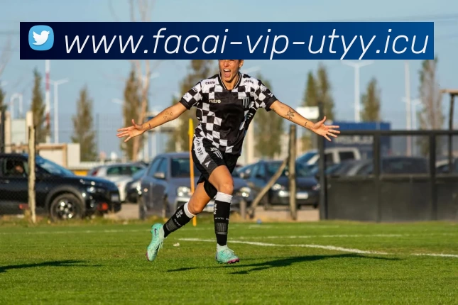 爱游戏体育注册品牌故事